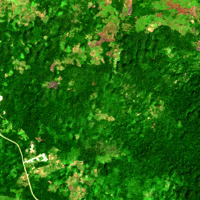 Satellite image of the area around Belmopan, February 2017