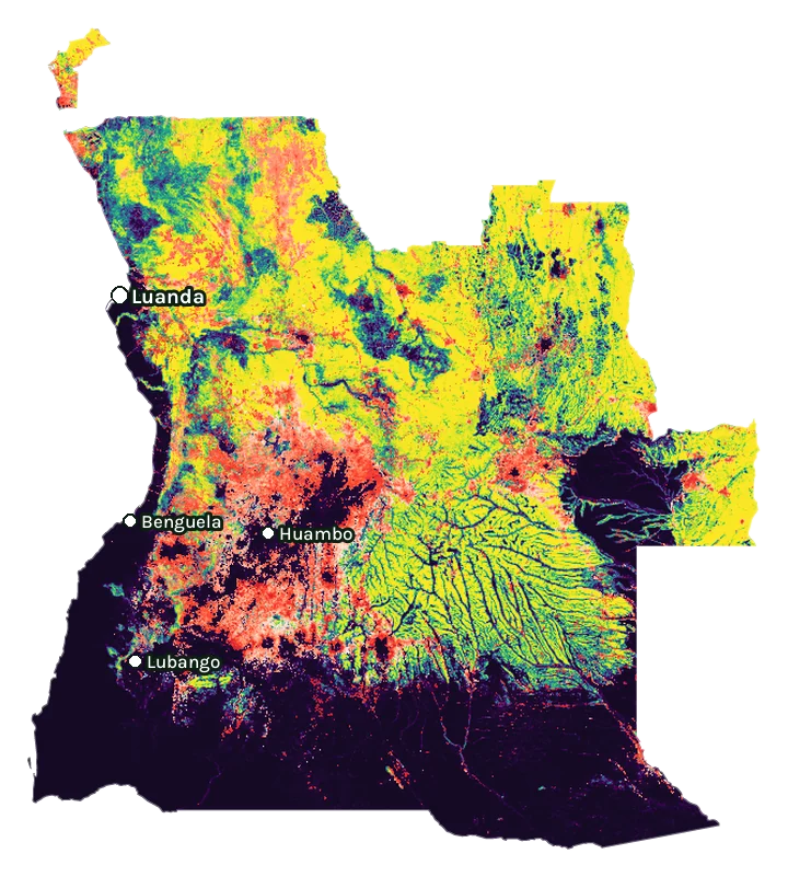 Map of Angola: forest cover in 2000 from dark purple (none) to yellow (dense), and forest lost since 2001 from red (early years) to white (recent)