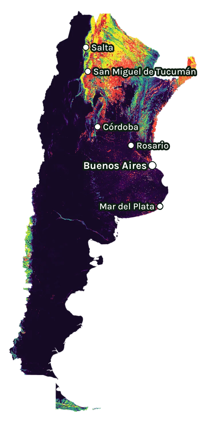 Map of Argentina: forest cover in 2000 from dark purple (none) to yellow (dense), and forest lost since 2001 from red (early years) to white (recent)