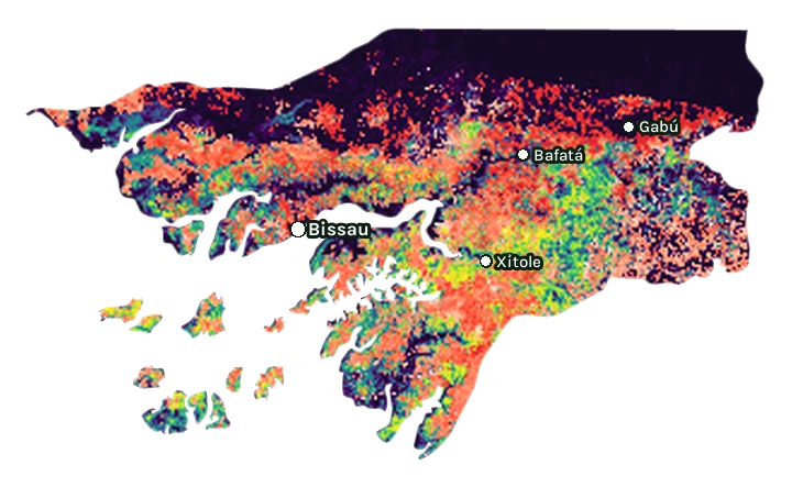 Map of Guinea-Bissau: forest cover in 2000 from dark purple (none) to yellow (dense), and forest lost since 2001 from red (early years) to white (recent)