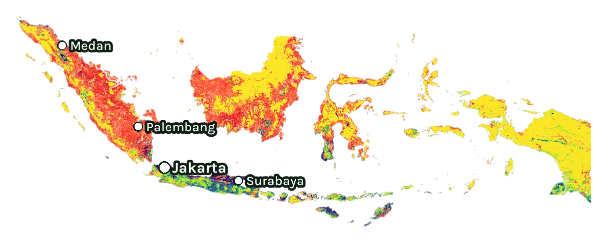 Map of Indonesia: forest cover in 2000 from dark purple (none) to yellow (dense), and forest lost since 2001 from red (early years) to white (recent)