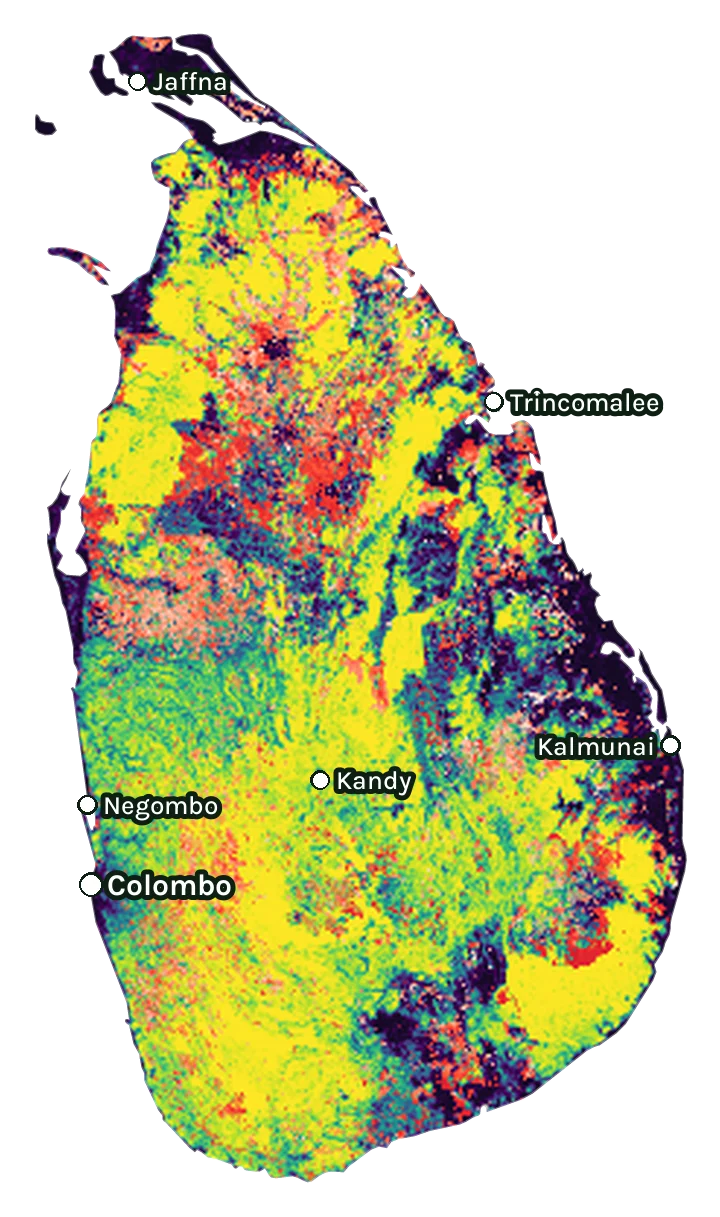 Map of Sri Lanka: forest cover in 2000 from dark purple (none) to yellow (dense), and forest lost since 2001 from red (early years) to white (recent)