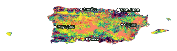 Map of Puerto Rico: forest cover in 2000 from dark purple (none) to yellow (dense), and forest lost since 2001 from red (early years) to white (recent)