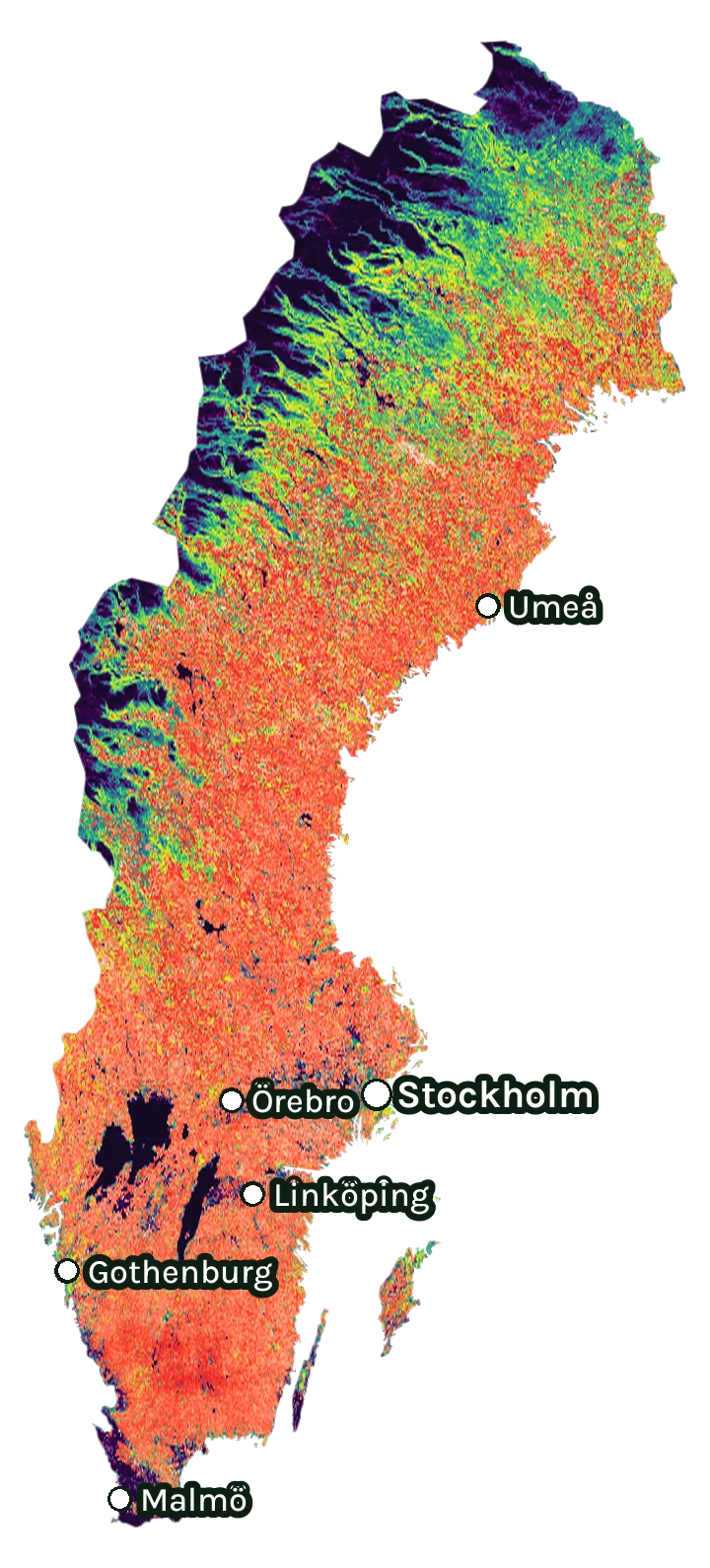 Map of Sweden: forest cover in 2000 from dark purple (none) to yellow (dense), and forest lost since 2001 from red (early years) to white (recent)