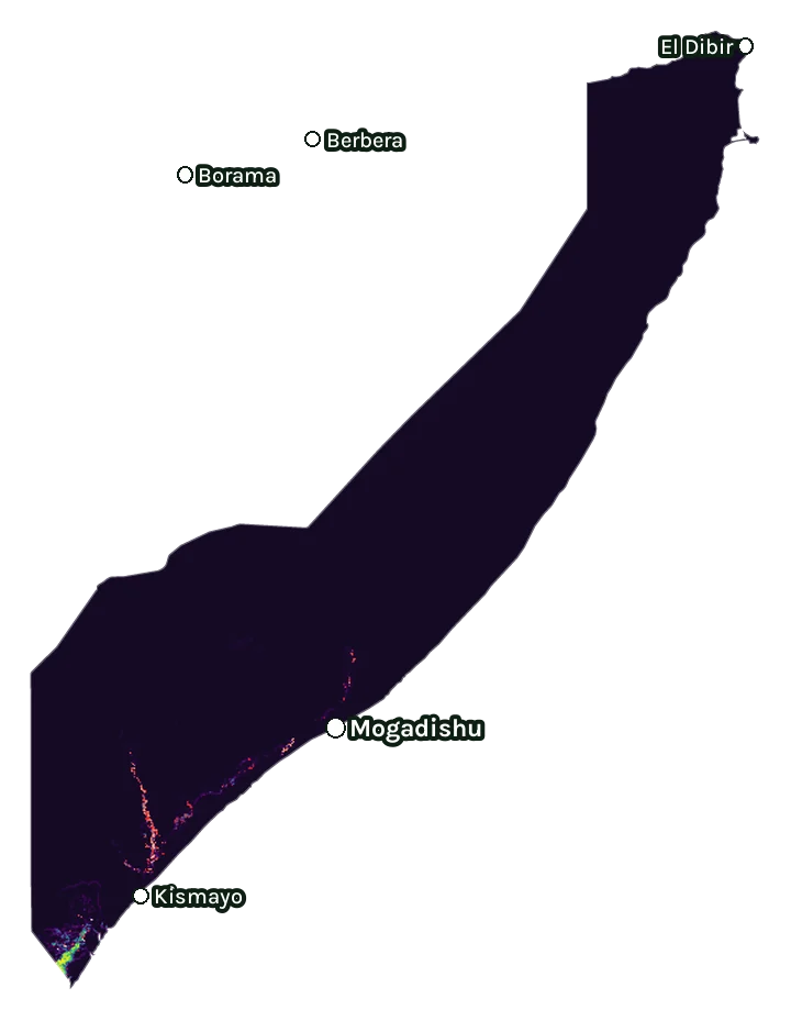 Map of Somalia: forest cover in 2000 from dark purple (none) to yellow (dense), and forest lost since 2001 from red (early years) to white (recent)