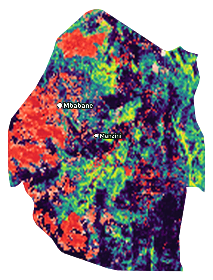 Map of Eswatini: forest cover in 2000 from dark purple (none) to yellow (dense), and forest lost since 2001 from red (early years) to white (recent)