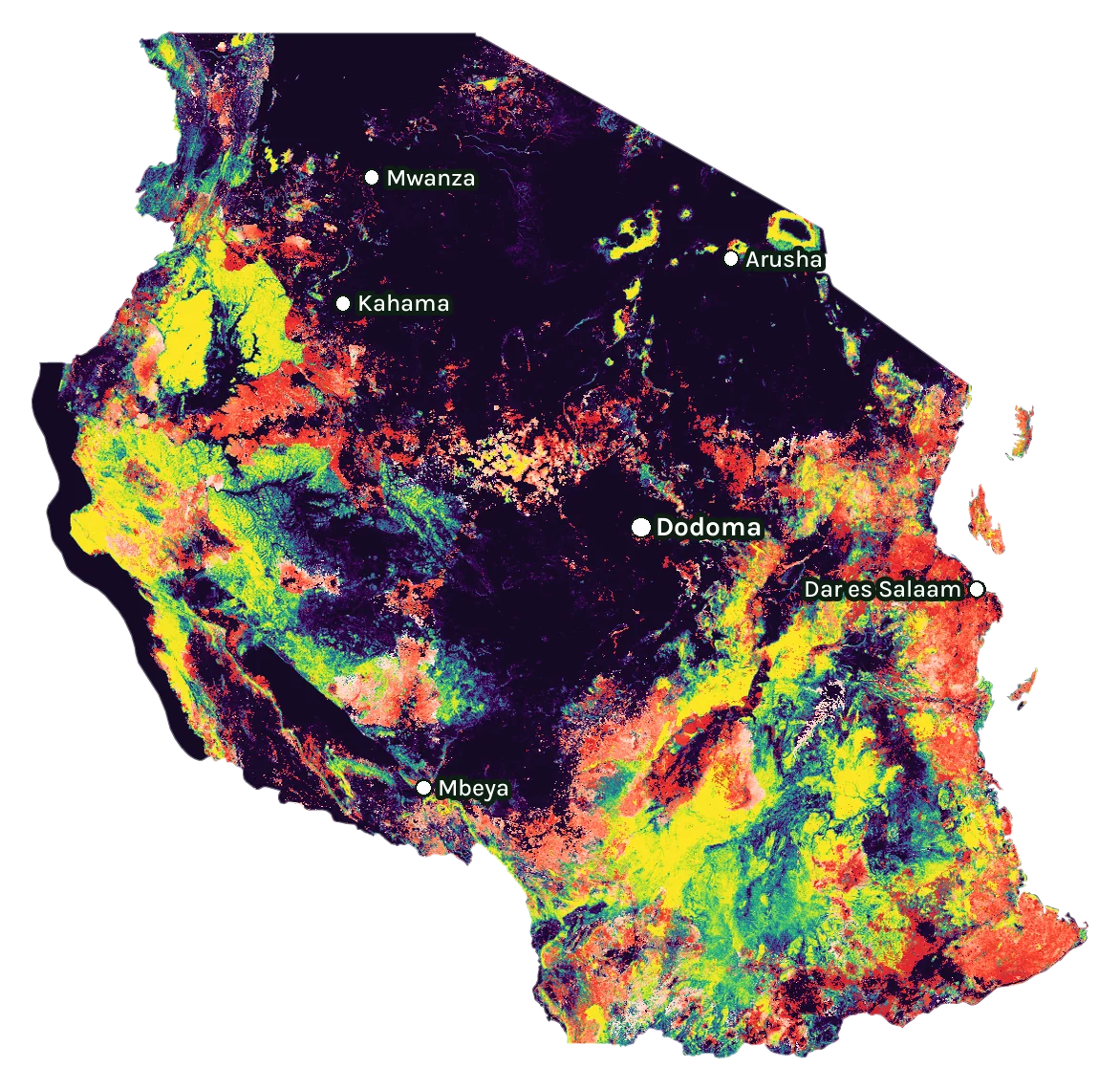 Map of Tanzania: forest cover in 2000 from dark purple (none) to yellow (dense), and forest lost since 2001 from red (early years) to white (recent)