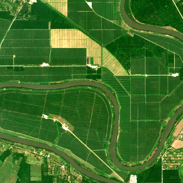 Satellite image of the area around El Progreso, February 2017
