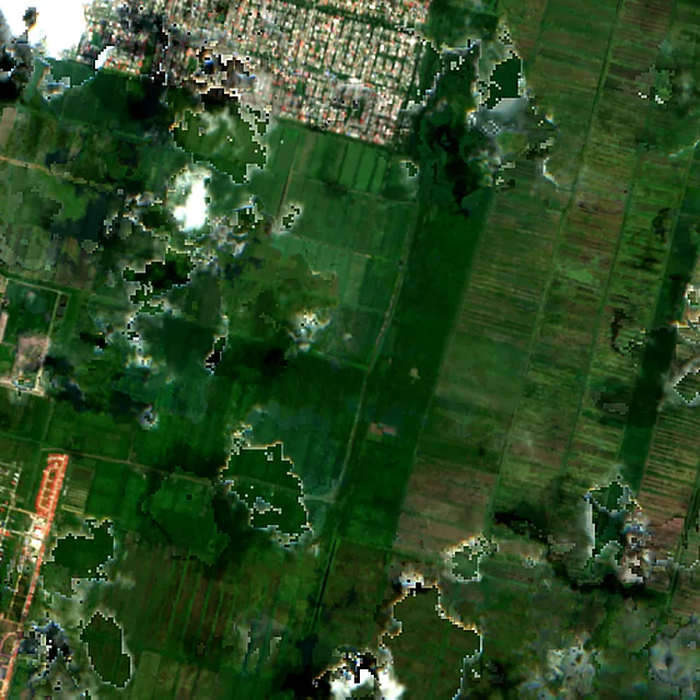 Satellite image of the area around Georgetown, August 2017
