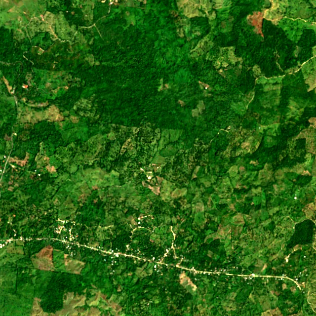 Satellite image of the area around Puerto Barrios, February 2017