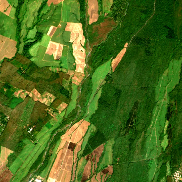 Satellite image of the area around Santa Lucía Cotzumalguapa, January 2017